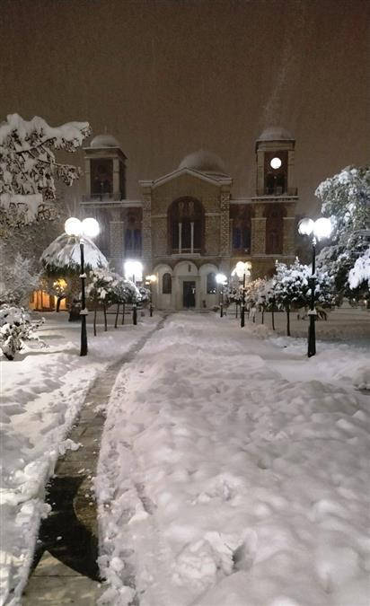 Κοπή βασιλόπιτας για φοιτητές και φοιτήτριες στην Καρδίτσα