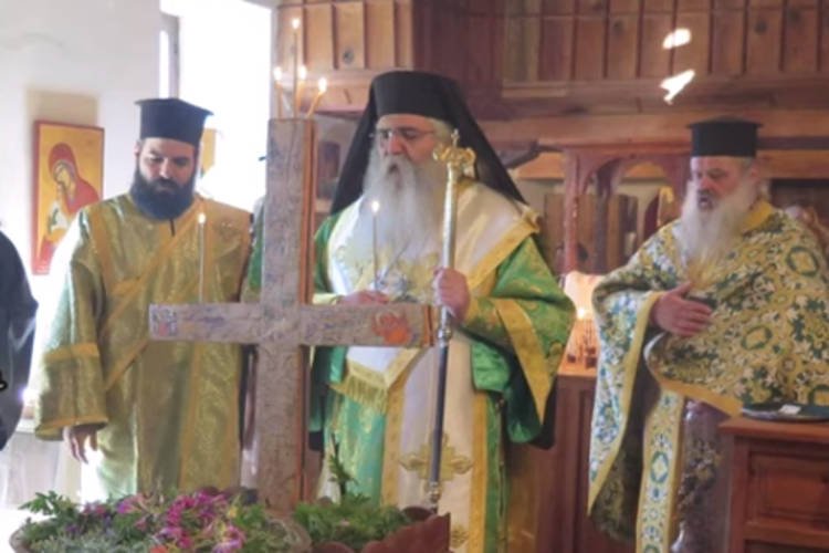 Μόρφου Νεόφυτος: Τα δέντρα χοροπηδούν και προσκυνούν τον Τίμιο Σταυρό