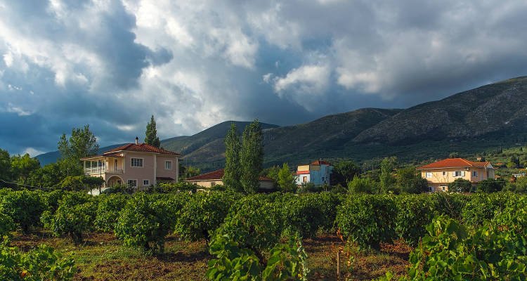 Ιερείς της Μητροπόλεως Τρίκκης βοηθούν τις ευπαθείς ομάδες