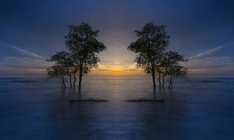 Τι πρέπει να κάνουμε για να επιτύχουμε την αιώνια ζωή;