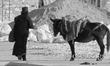 Τι νόημα έχει η ζωή σου στην ησυχία; (Γεροντικό)