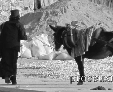 Τι νόημα έχει η ζωή σου στην ησυχία; (Γεροντικό)