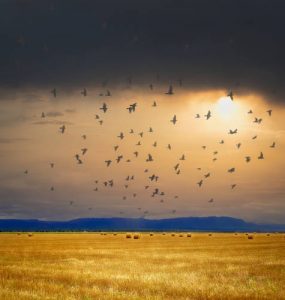 Να μην κοροϊδεύεις κανέναν απολύτως
