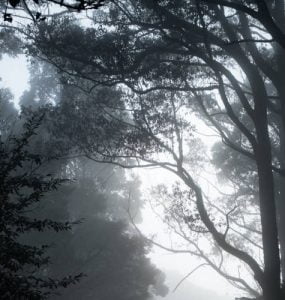 Τίποτε άλλο δεν σκοτίζει τον νου τόσο, όσο η πονηριά
