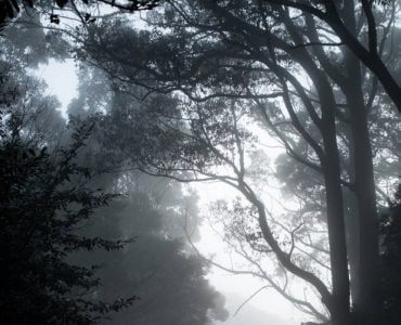 Τίποτε άλλο δεν σκοτίζει τον νου τόσο, όσο η πονηριά