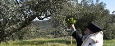 Ο Μητροπολίτης Μάνης στην Πετρίνα και στον ελαιώνα της