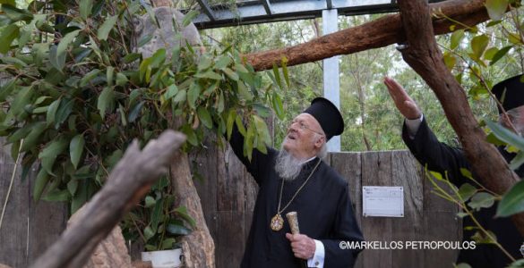 Επίσκεψη του Οικουμενικού Πατριάρχου στον Ζωολογικό Κήπο Taronga του Σύδνεϋ