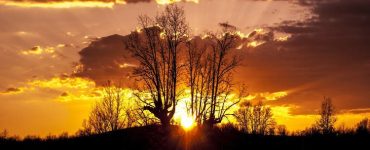 Κατάργηση οκτώ παθών